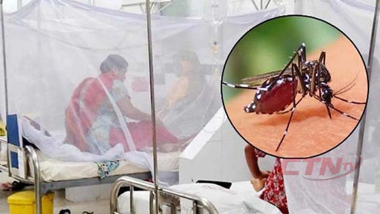 ২৪ ঘণ্টায় ডেঙ্গুতে ১ জনের মৃত্যু, হাসপাতালে ভর্তি ১৫৩