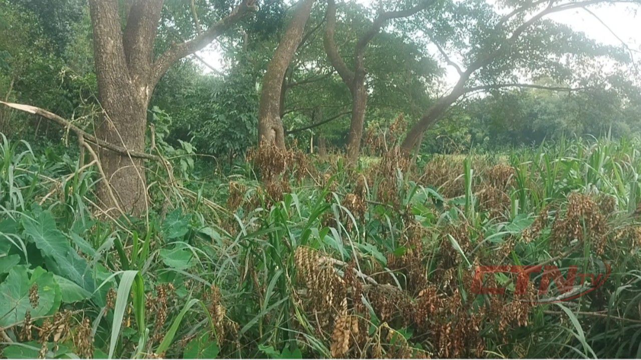 বটিবন্দে জমি বিরোধে উত্তপ্ত পরিস্থিতি